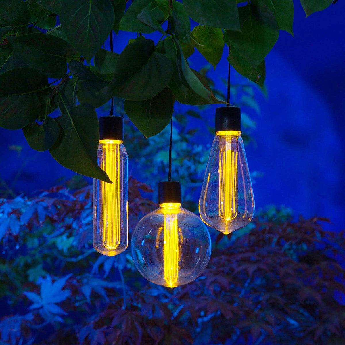 Energy-Saving NOMA Solar String Lights with 3 Clear Bulbs 8132646 1