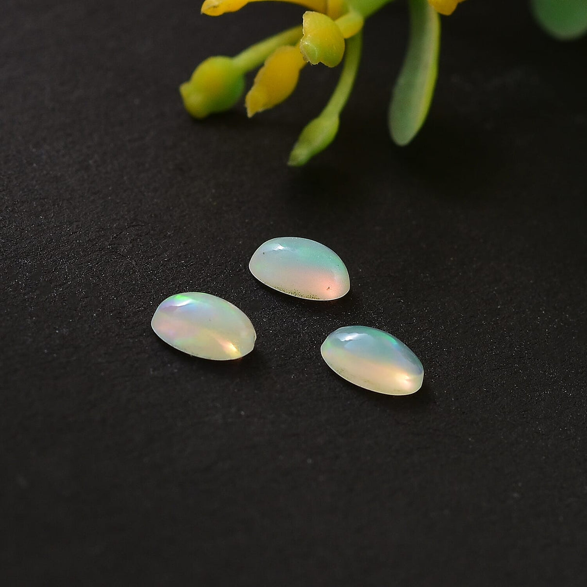 Set of 3 Ethiopian Opal Loose Gemstones in Oval Shape  0.41 Ct. 8062376 1