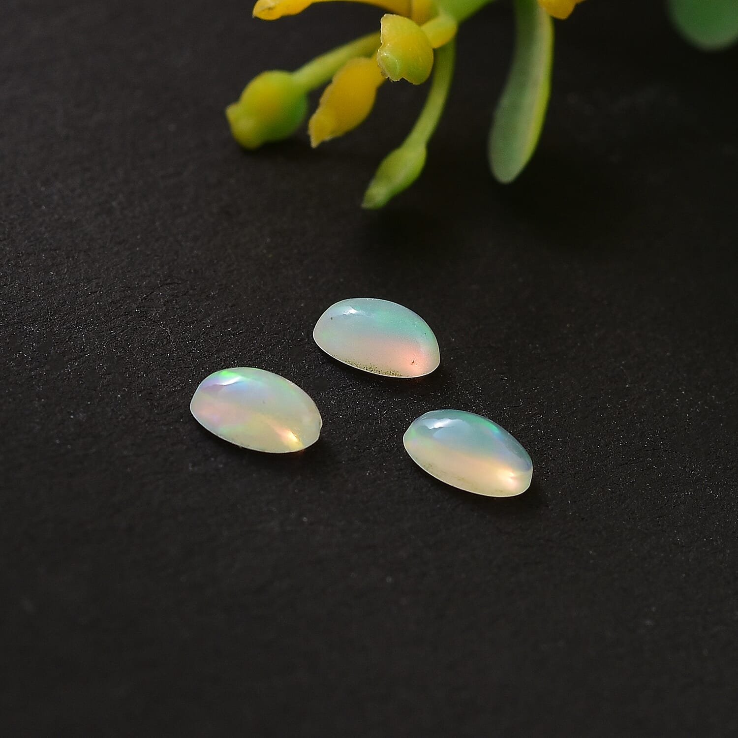 Set of 3 Ethiopian Opal Loose Gemstones in Oval Shape  0.41 Ct. 8062376 1