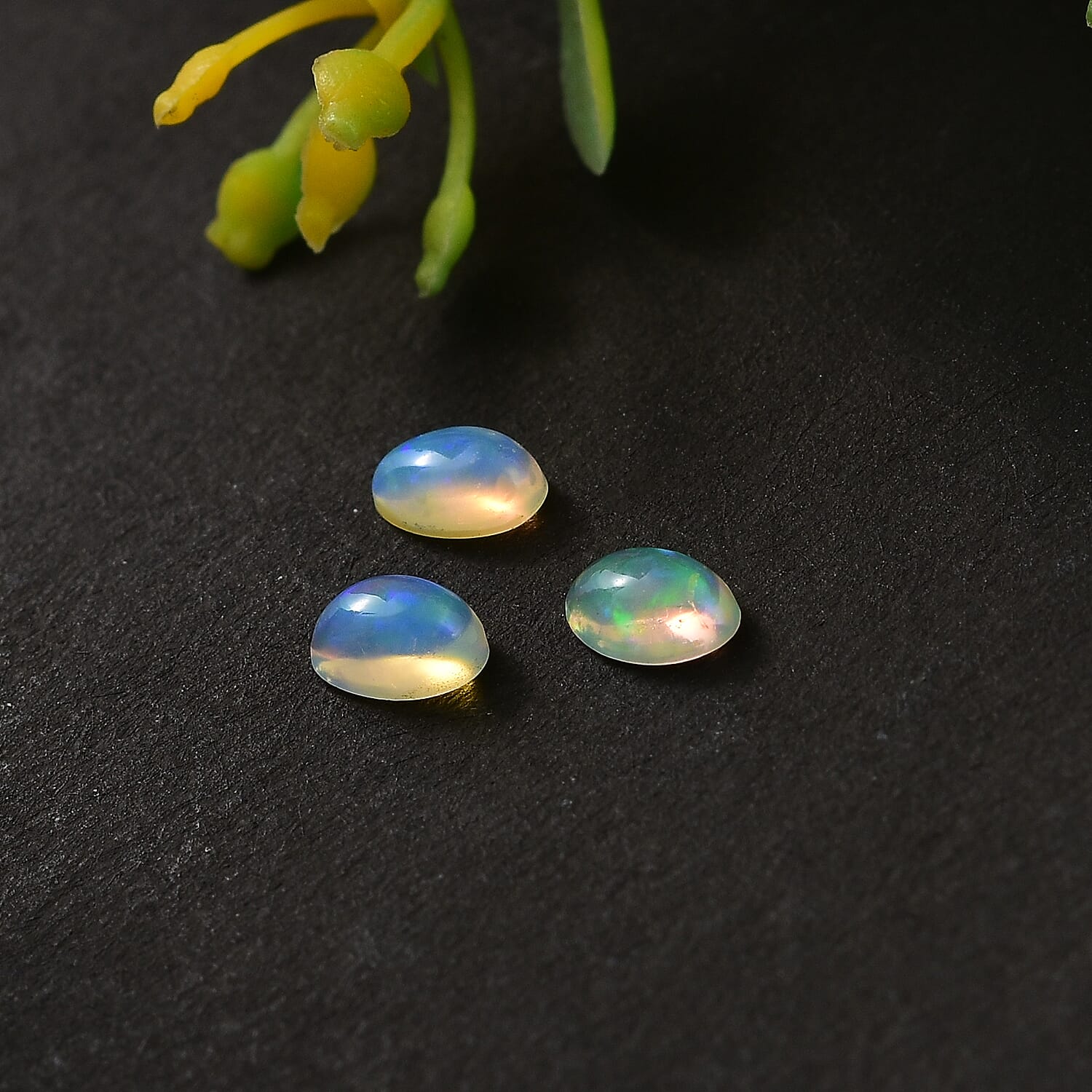 Set of 3 Ethiopian Opal Loose Gemstones in Oval Shape 0.42 Ct. 8062377 1