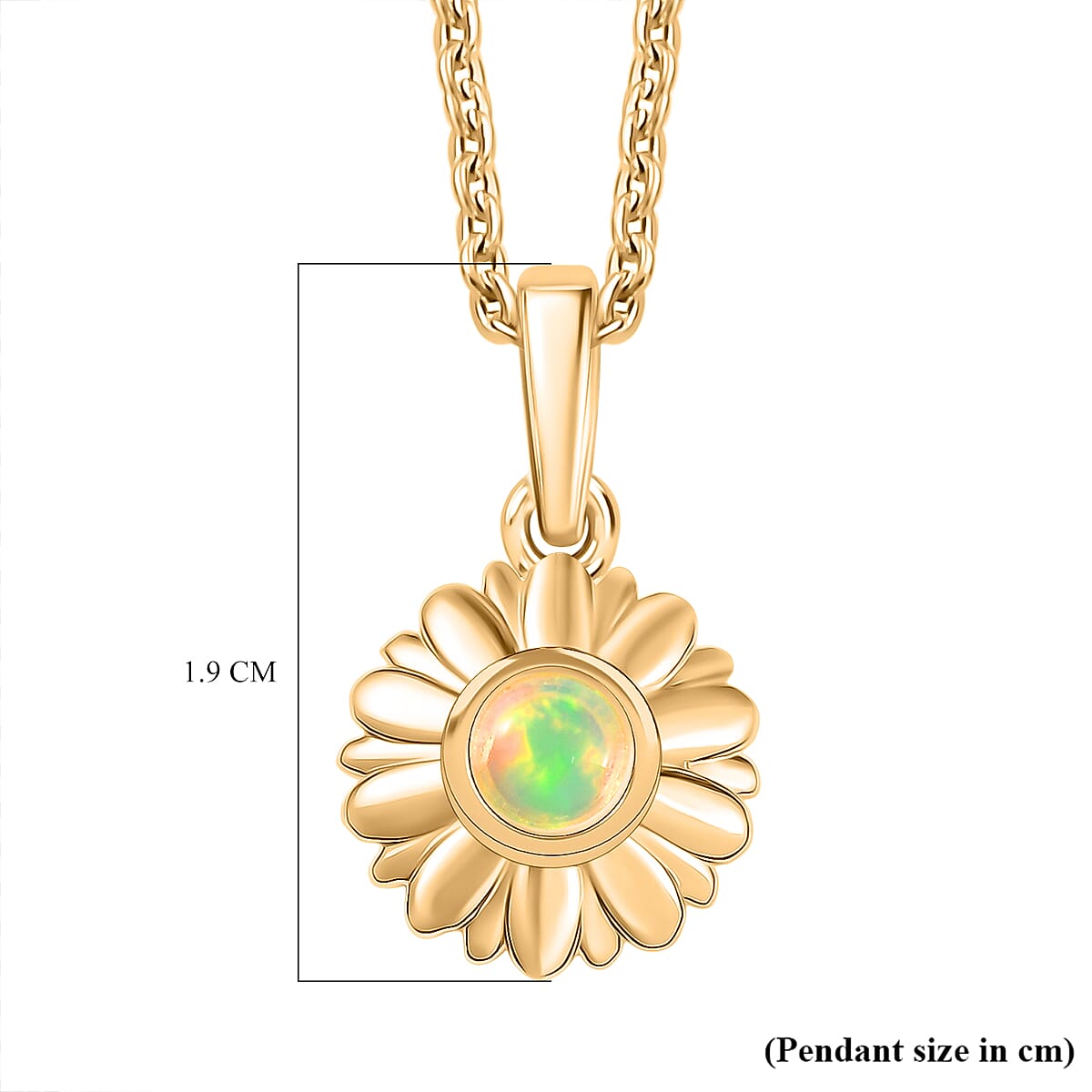 Ethiopian Opal Pendant with Chain (Size 20) 4394613 6