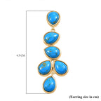 Tucson Find - Blue Turquoise Red Carpet Earring 12.09 Ct.