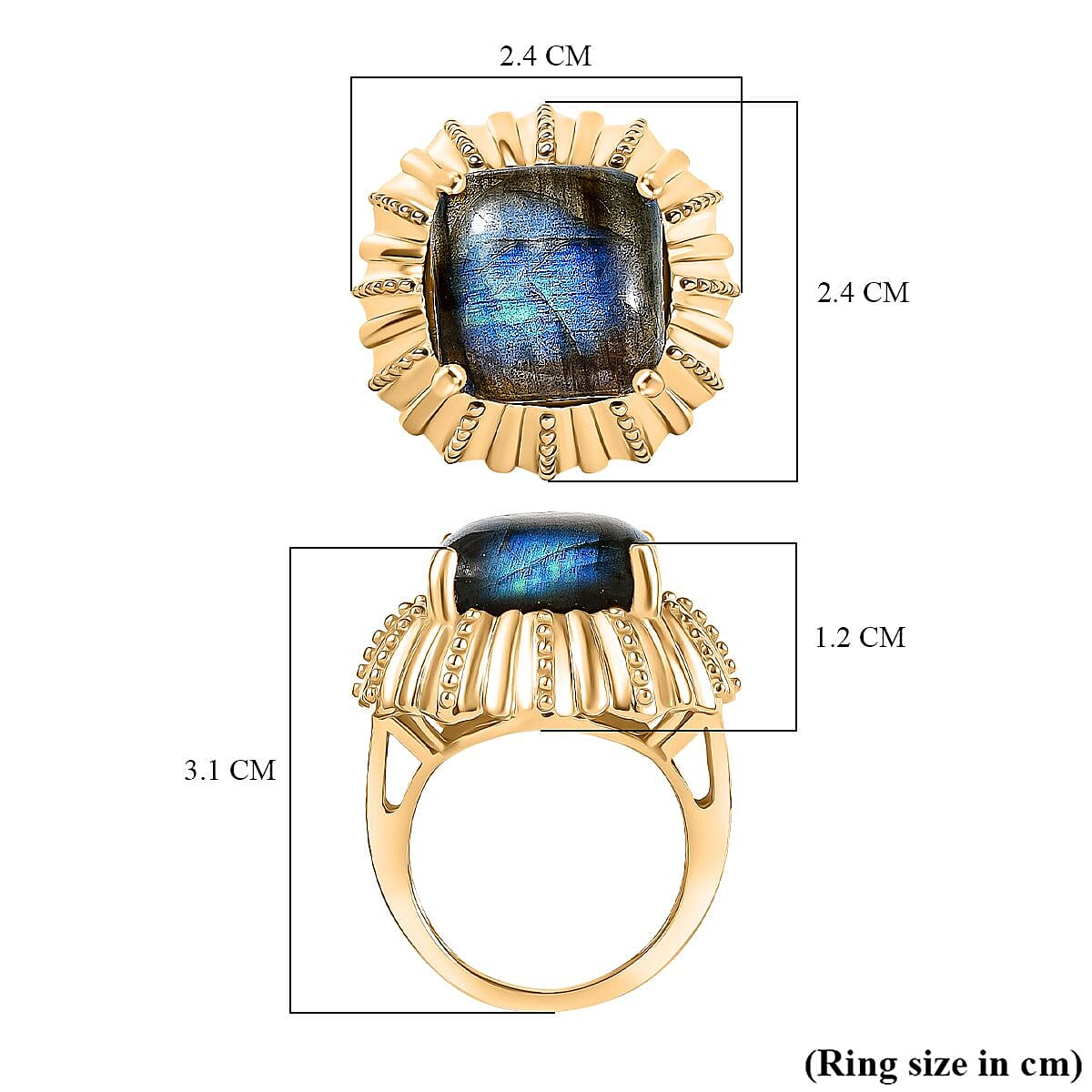 EverTrue Labradorite Solitaire Ring in Yellow Gold Plated 12.06 Ct. 8264694 6