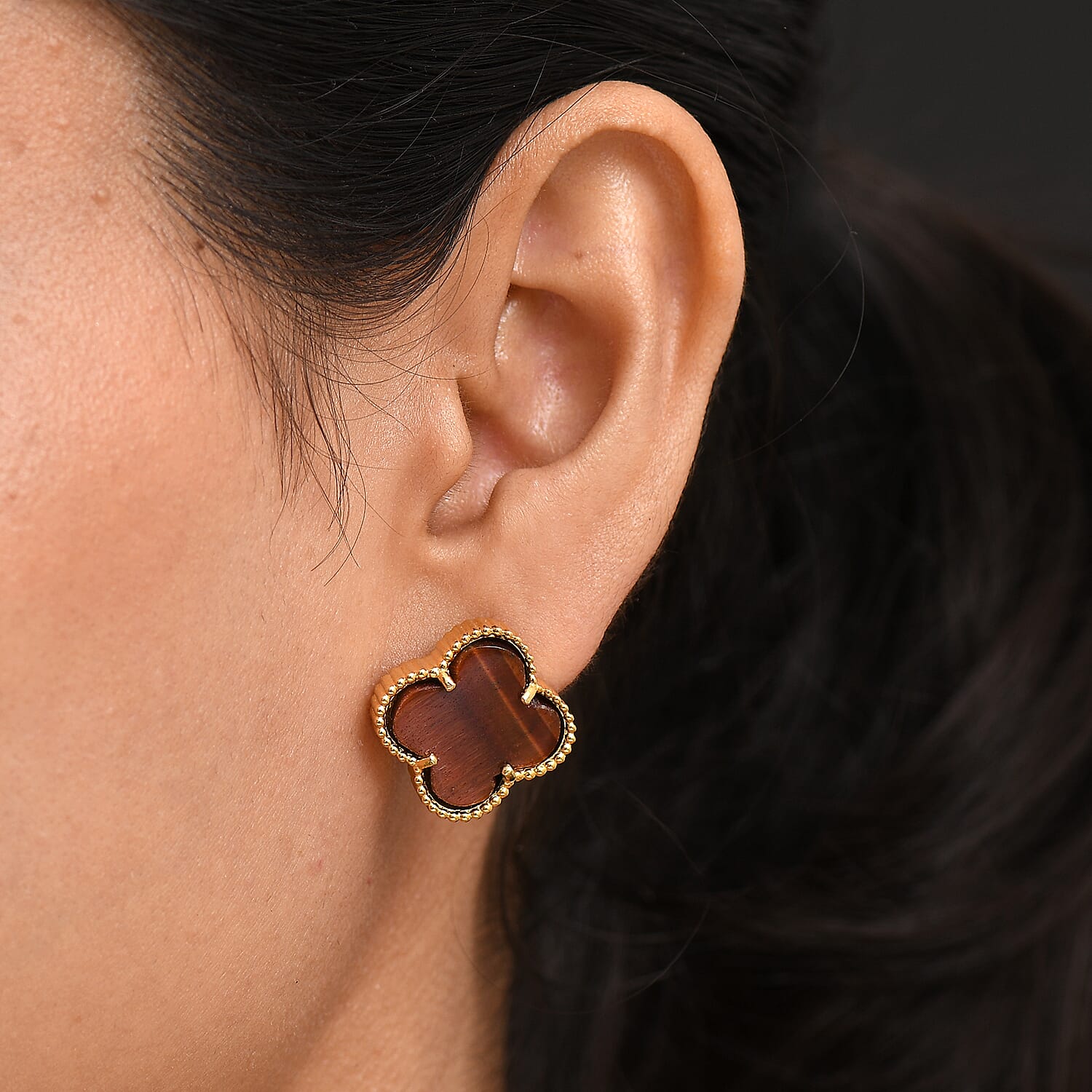 EverTrue Red Tiger Eye Earring with Push Back in Yellow Gold Plated 17.82 Ct. 8252088 3