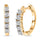 Diamond Hoop Earrings
