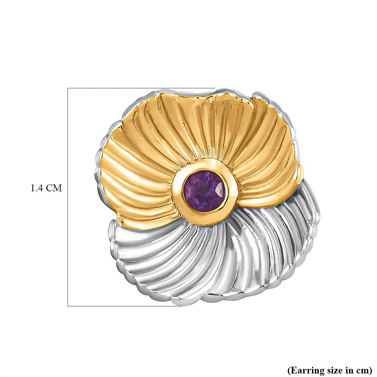 February Birthflower Violet with Amethyst Earrings in Two Tone Sterling Silver 7541009 5