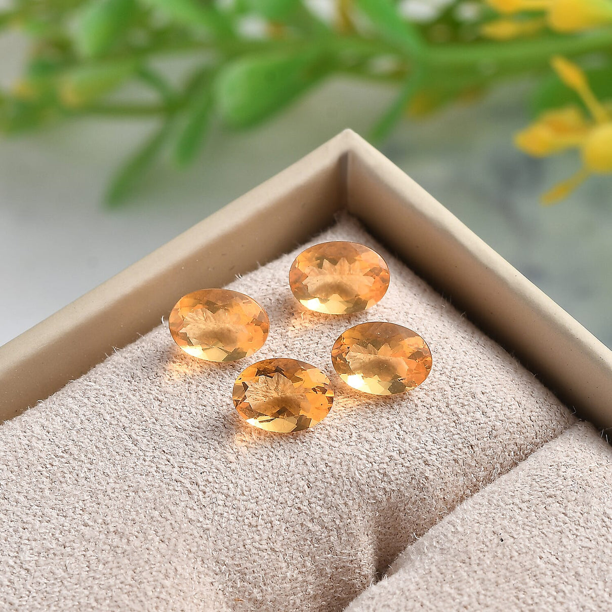 Set of 4 Fire Opal Loose Gemstones in Oval Shape (7x5mm) 7827285 2