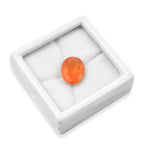 Fire Opal Oval Size Varies