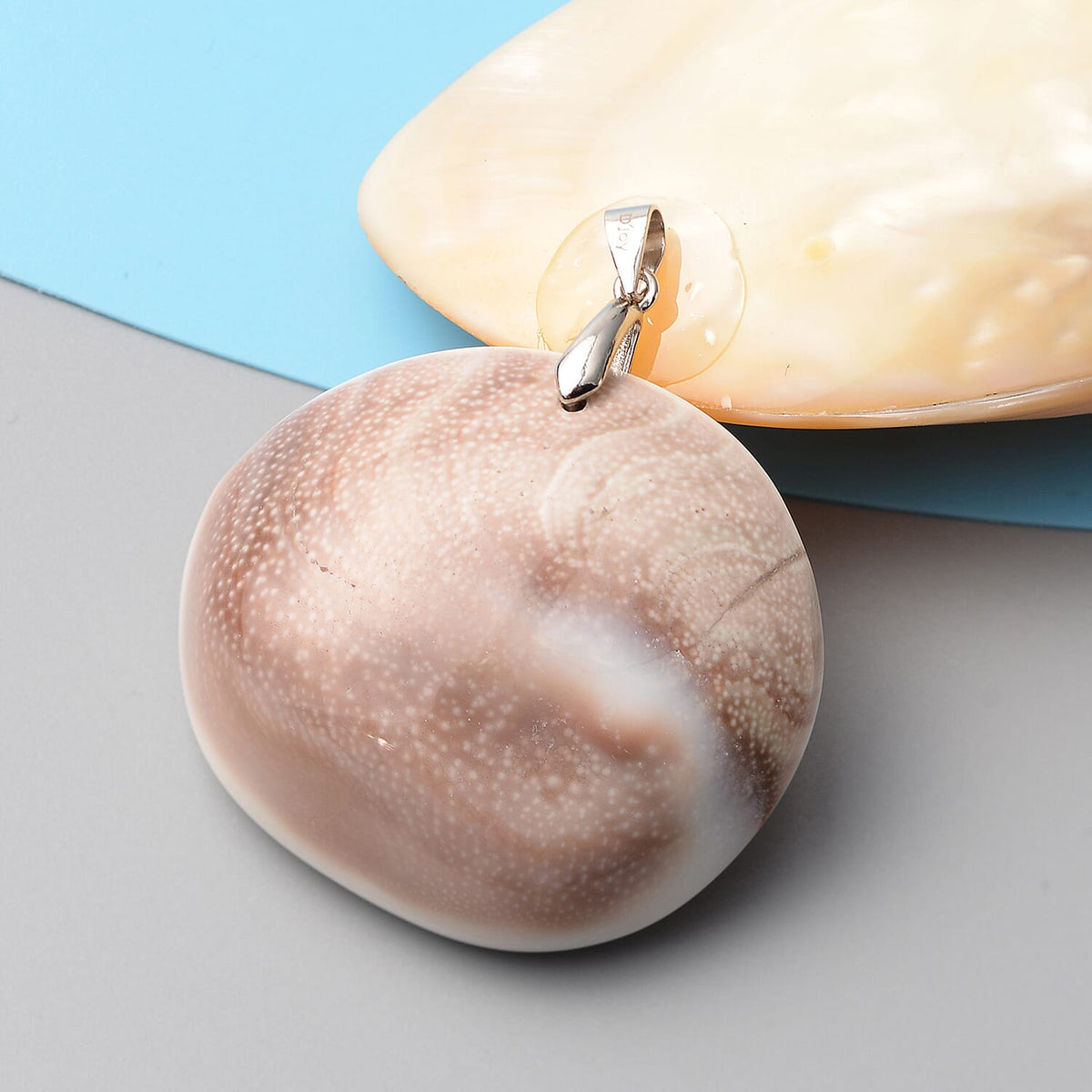 Fossil Shell Pendant in Rhodium Plated Sterling Silver 3791362 1