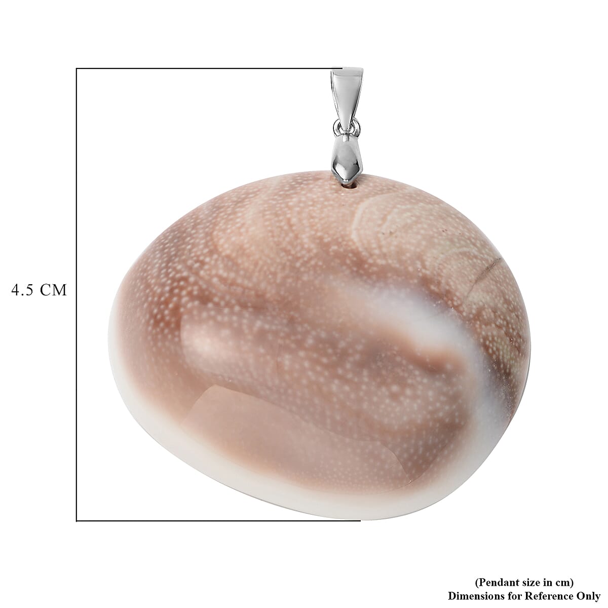 Fossil Shell Pendant in Rhodium Plated Sterling Silver 3791362 3