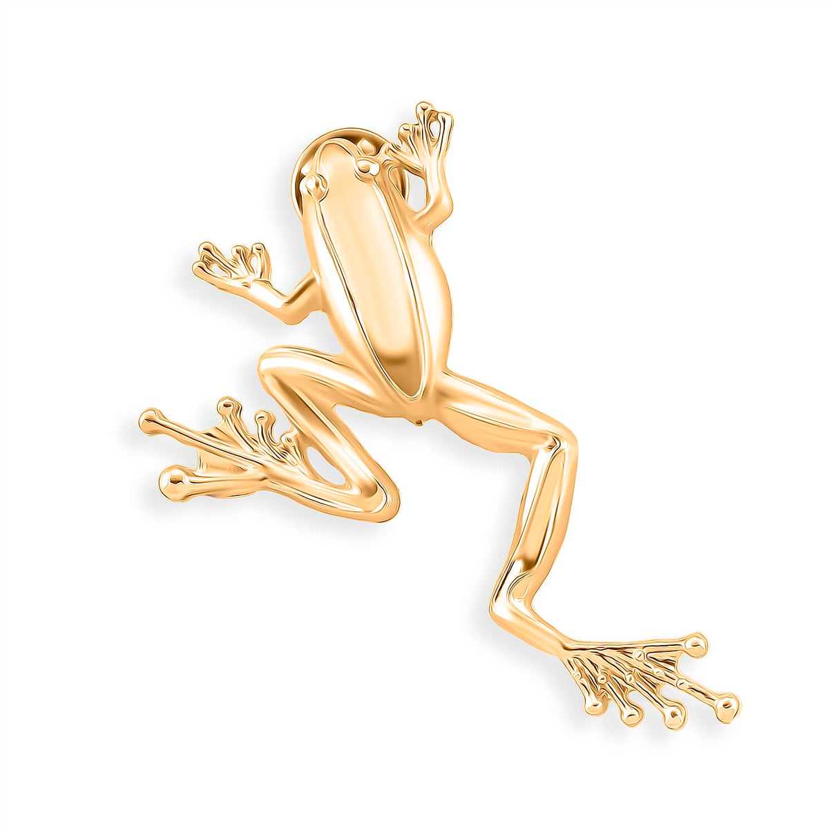 Frog Brooch With Push Pin - Frog symbolizes transformation, rebirth, and adaptability 8515009 0