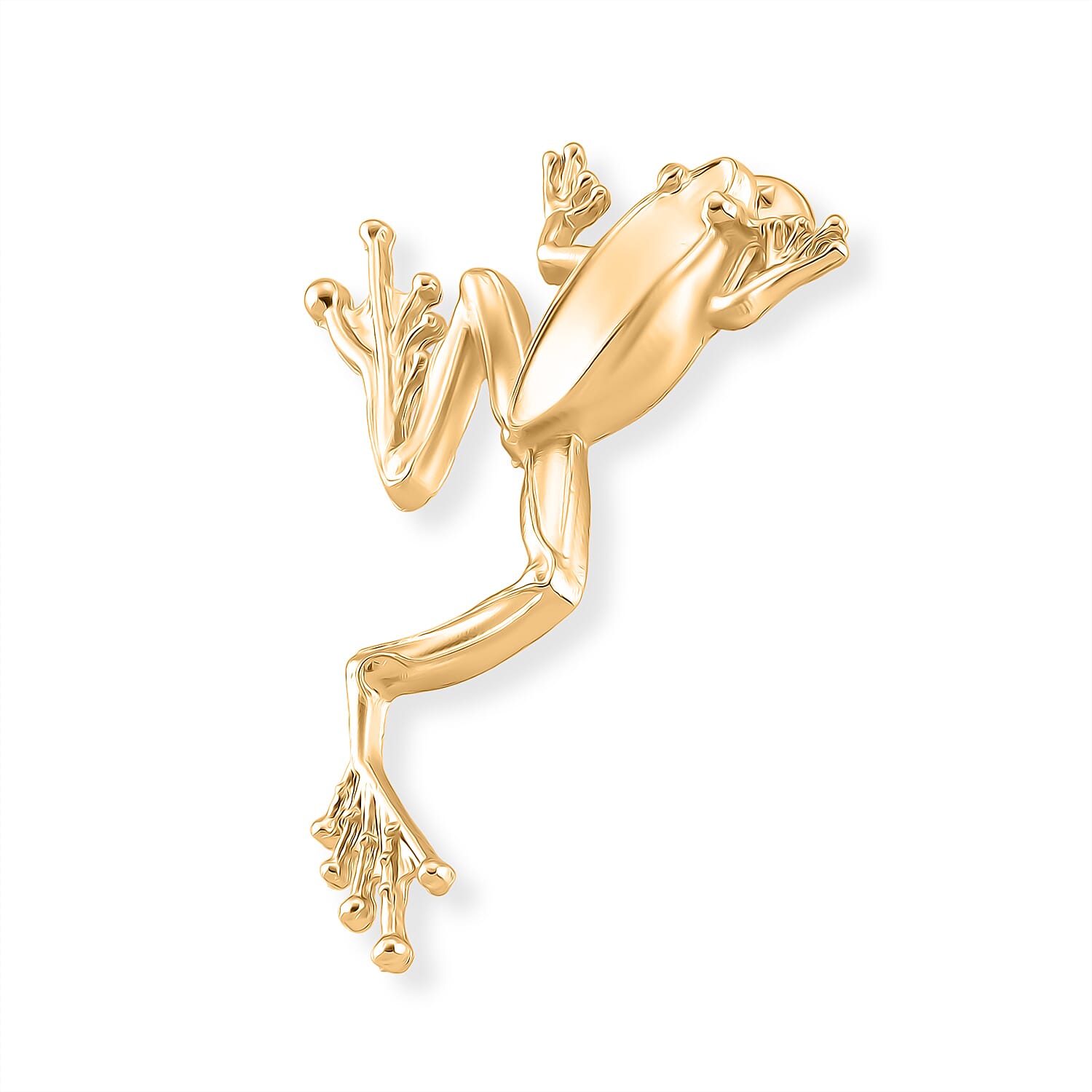 Frog Brooch With Push Pin - Frog symbolizes transformation, rebirth, and adaptability 8515009 4