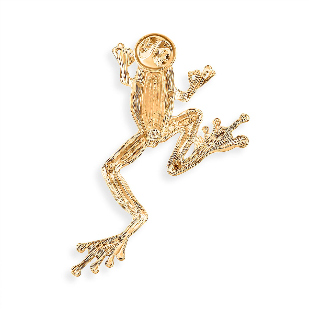 Frog Brooch With Push Pin - Frog symbolizes transformation, rebirth, and adaptability 8515009 5