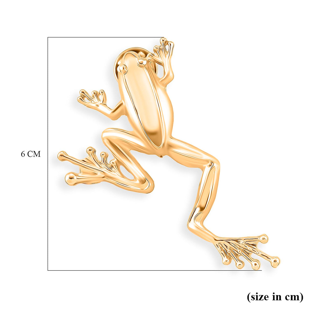 Frog Brooch With Push Pin - Frog symbolizes transformation, rebirth, and adaptability 8515009 7