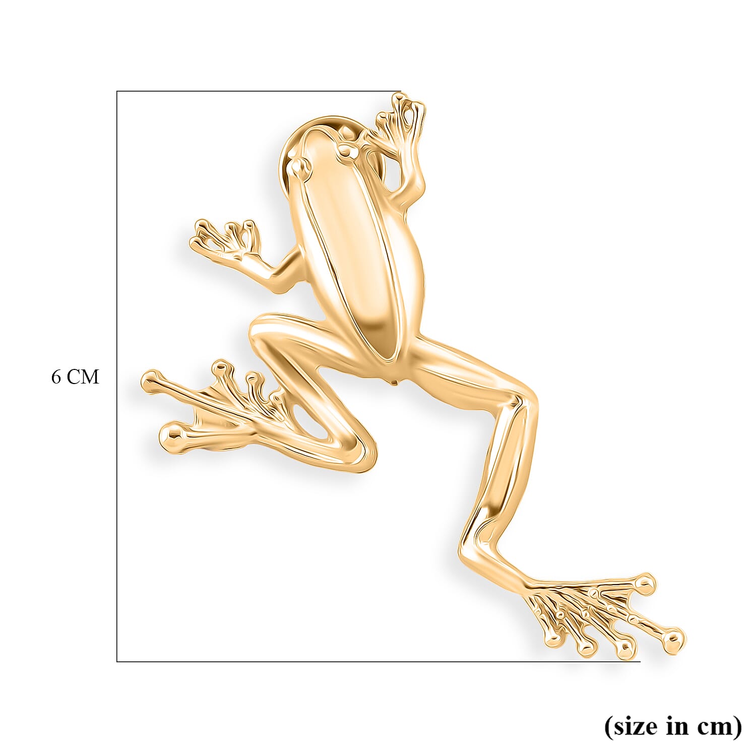 Frog Brooch With Push Pin - Frog symbolizes transformation, rebirth, and adaptability 8515009 7