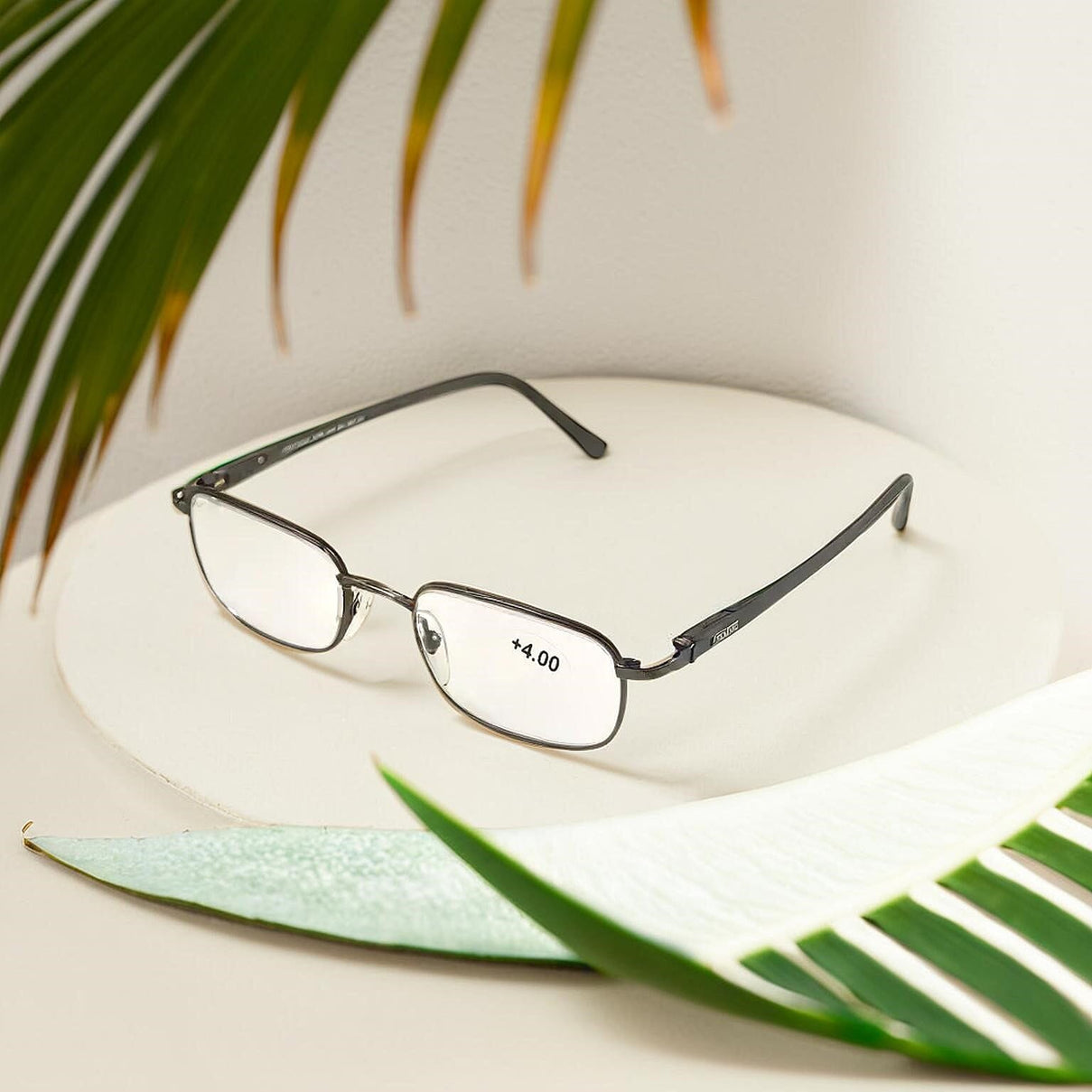 Eyewear Accessories - Olive 7750716 2