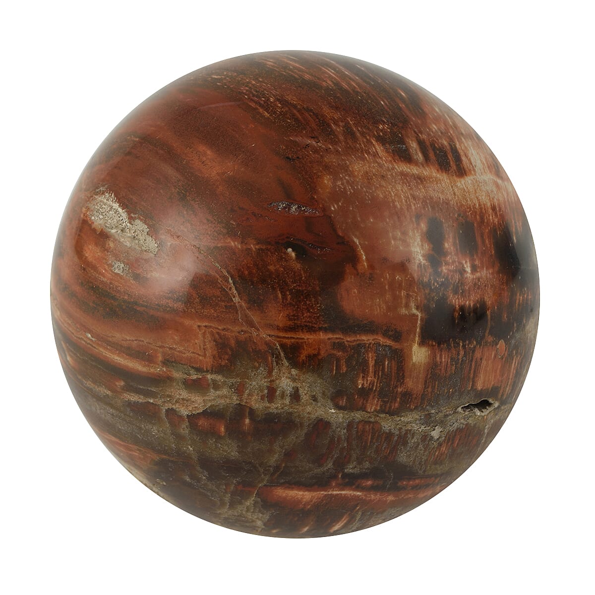Galet Septarian - Large 7793777 0