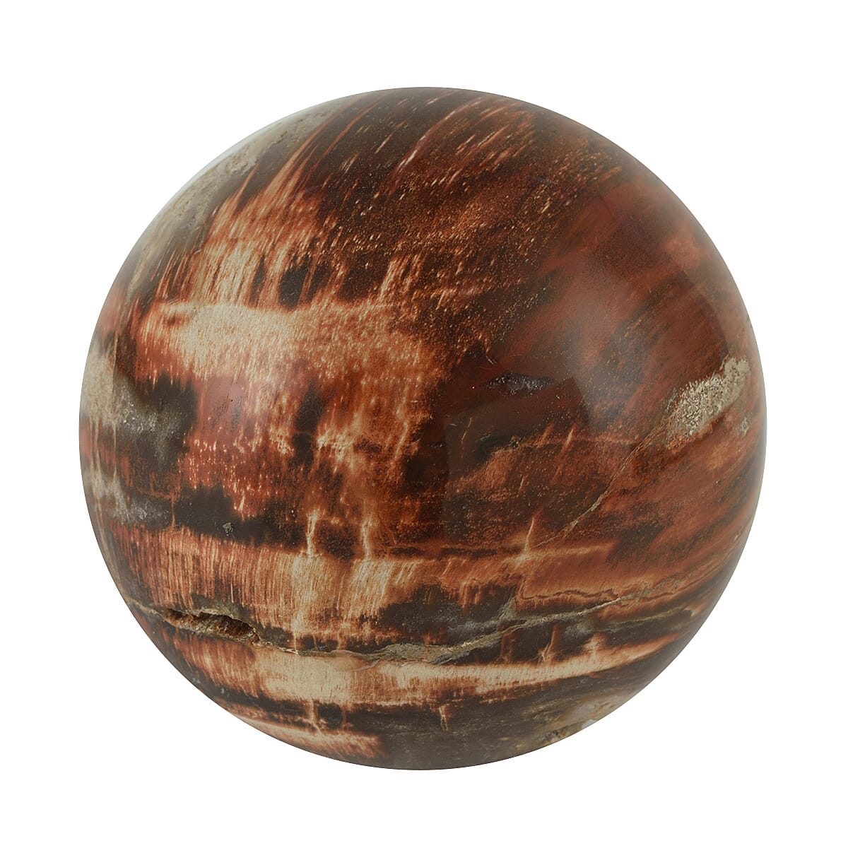 Galet Septarian - Large 7793777 1