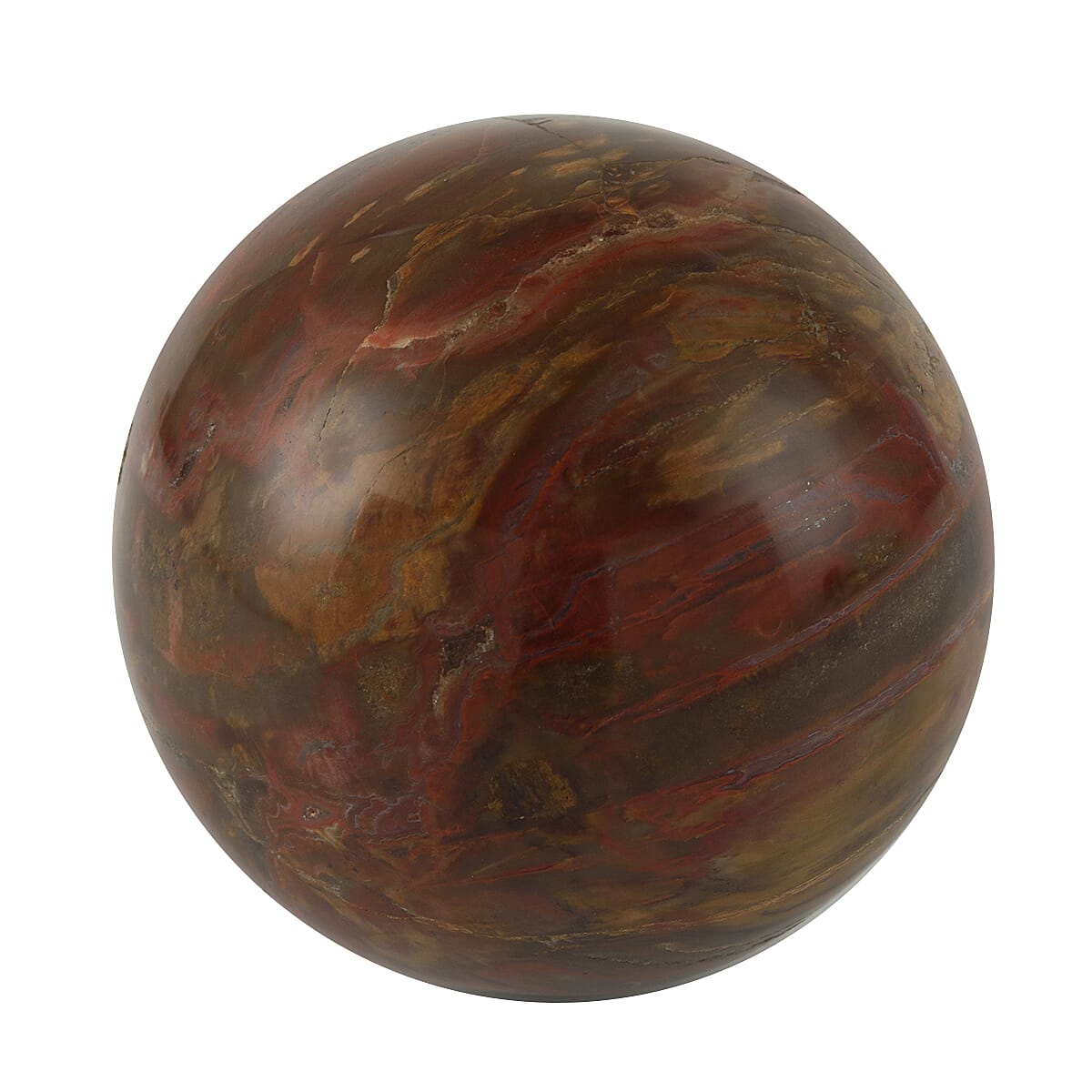 Galet Septarian-Medium 7793778 1