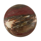 Galet Septarian-Small