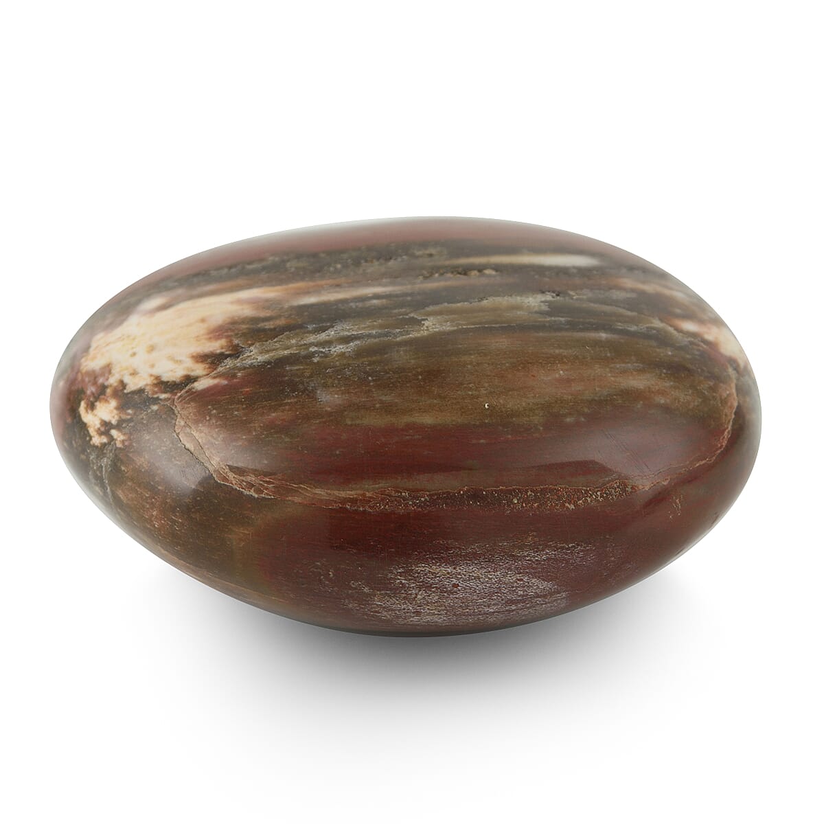 Galet Septarian-Small 7793780 2