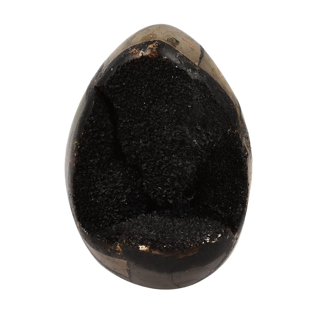 Gem Treasures - Septarian Dragon Egg (3-4 inches)- Approx. 1800 Ct 6303297 0