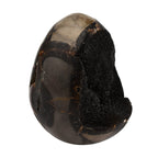 Gem Treasures - Septarian Dragon Egg (3-4 inches)- Approx. 1800 Ct