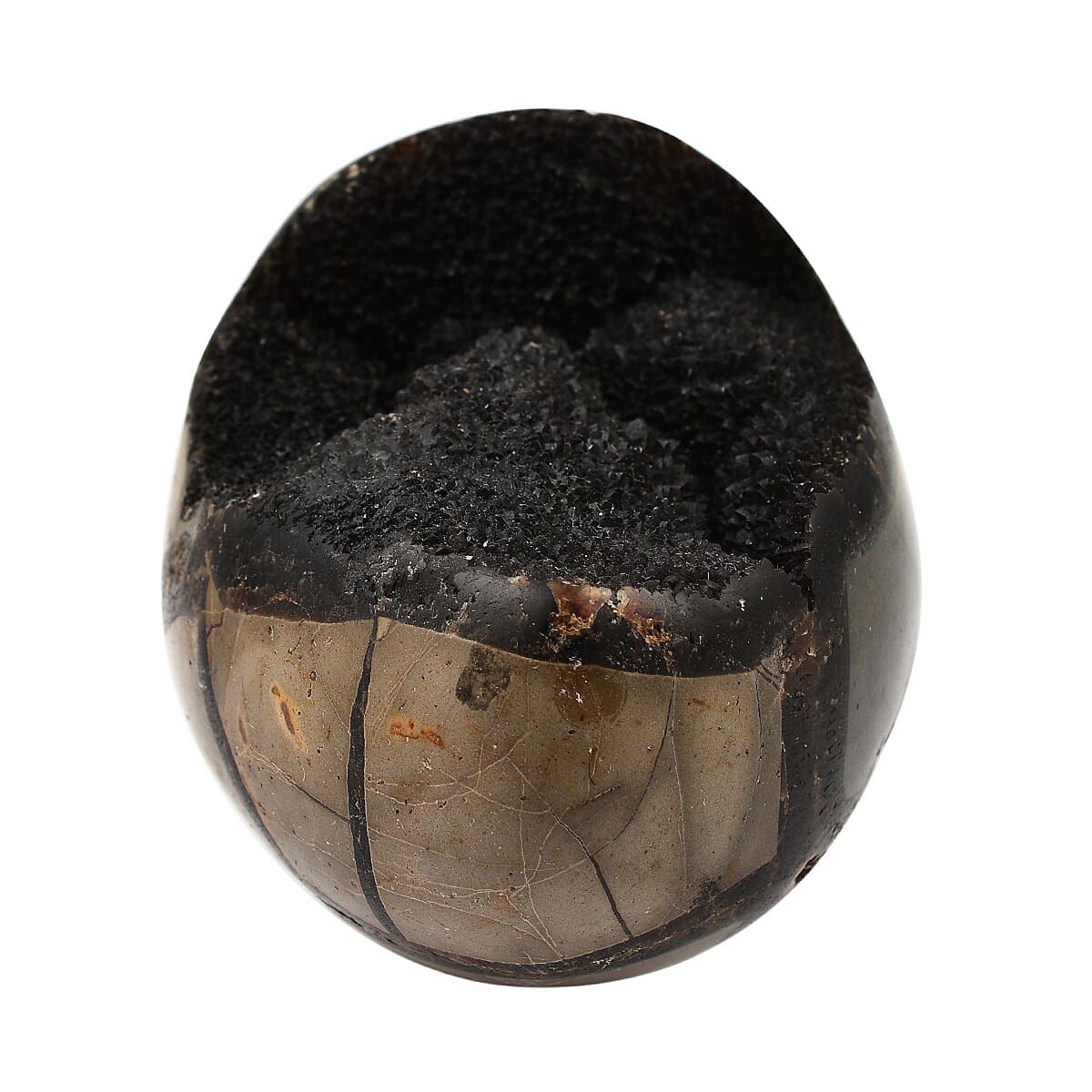 Gem Treasures - Septarian Dragon Egg (3-4 inches)- Approx. 1800 Ct 6303297 3