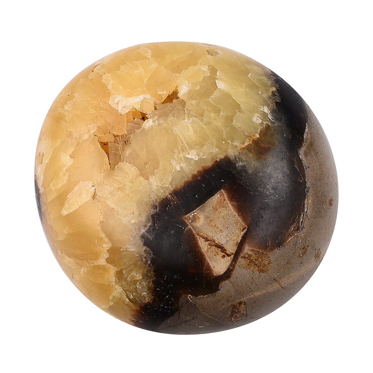 Gem Treasures - Septarian Pebble 6303300 1