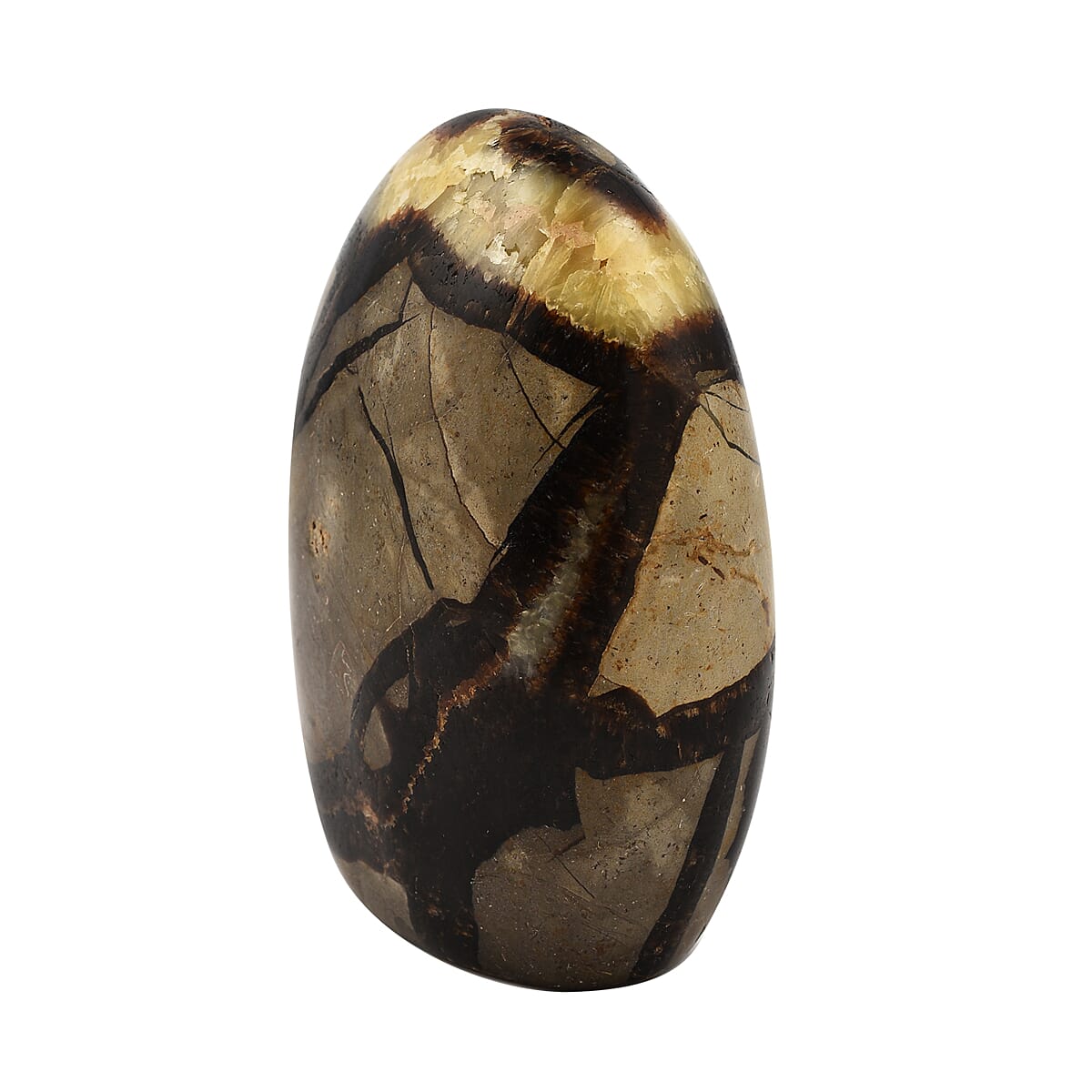 Gem Treasures - Septarian Red Dot Free Form Figurine 2500 Ct. 7188576 2