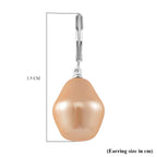 Golden Colour Shell Pearl Earrings