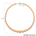 Golden Shell Pearl Necklace (Size 20 - 2 Ext) with Lobster Clasp 290.00 Ct.