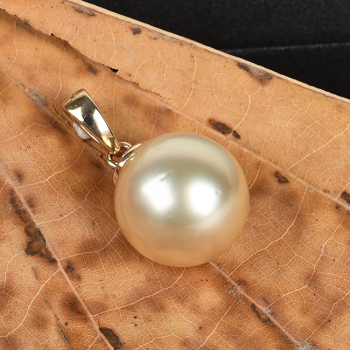 Golden South Sea Pearl Pendant in 9K Yellow Gold 3818706 3