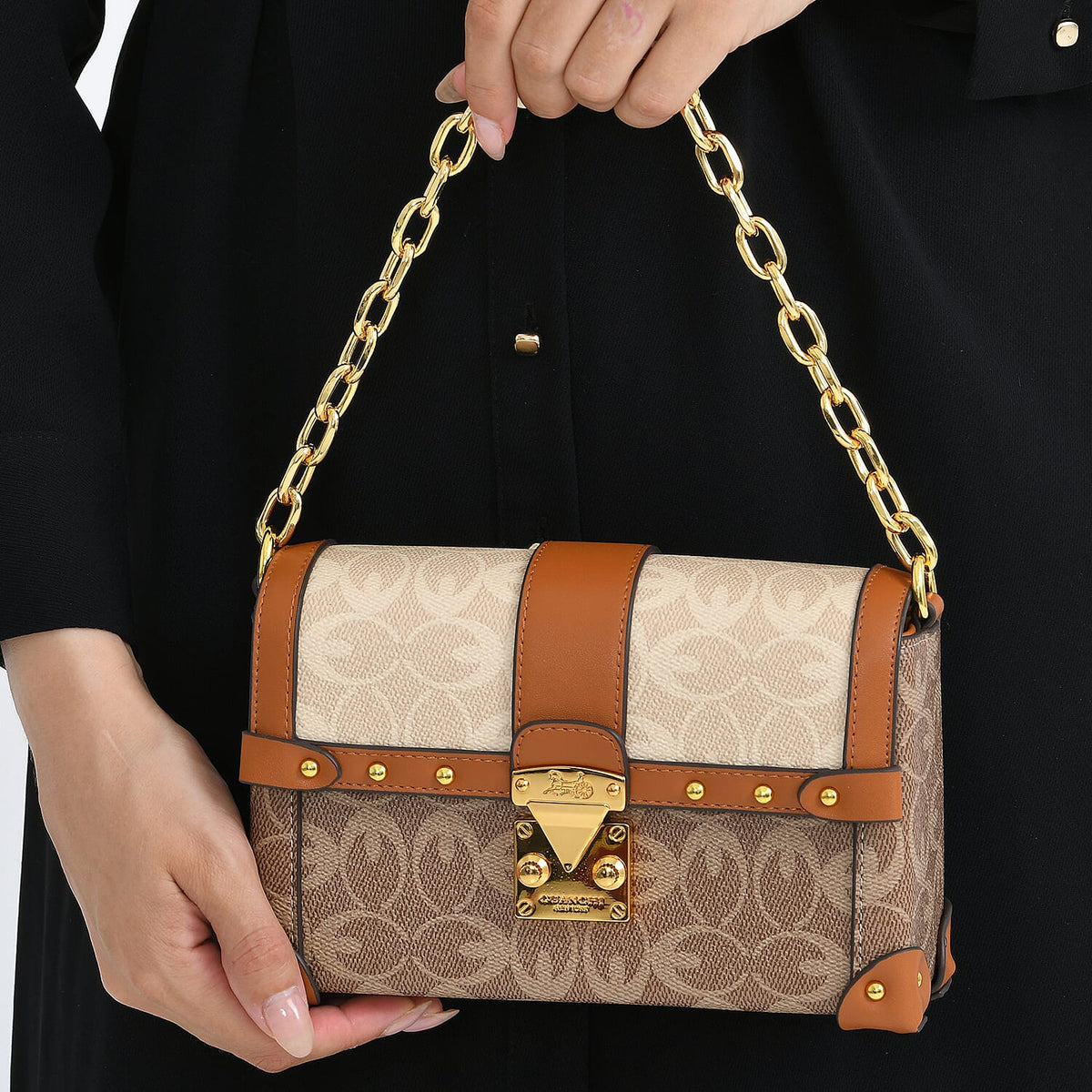 Guanchi Mini Trunk Crossbody Bag with Gold Chain Strap - Brown &amp; Beige 8231272 4