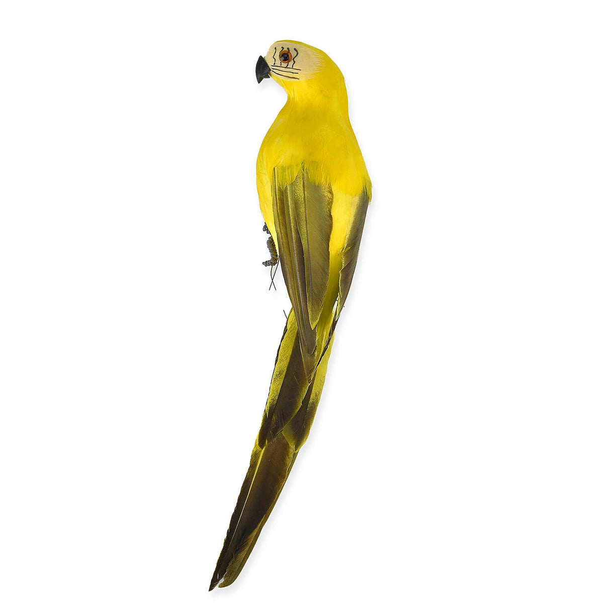 Realistic Parrot Figurine (Size 35cm) - Yellow 7691715 3