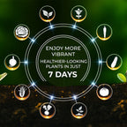 Happy Garden 7 Day Liquid Plant Food  - (1L Ready to Use) - Promotes Healthy Growth and Robust Blooms - Blend Of Nutrients. Nitrogen, Potassium, Phosphorus, Magnesium, Fertiliser