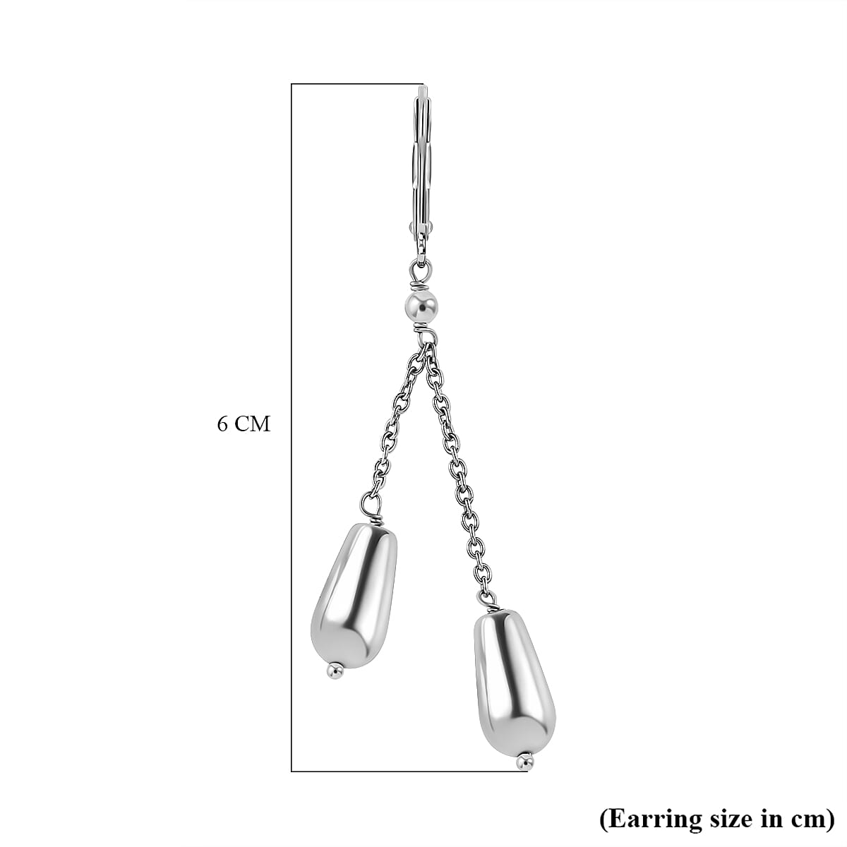 Hematite Dangle Earrings in Platinum Overlay Pure Stainless Steel 30.00 ct 7850143 5