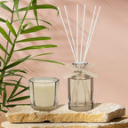 Candle & Diffuser Set Cocoa & Cashmere 180ml - Clear