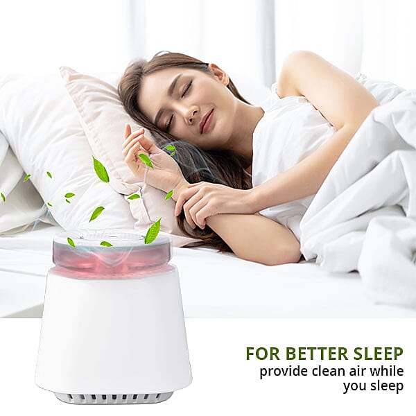 Homesmart - 2-in-1 Air Purifier with HumidifierÂ  6275532 2