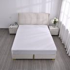 Homesmart Anti Bacterial Waterproof Mattress Protector - King