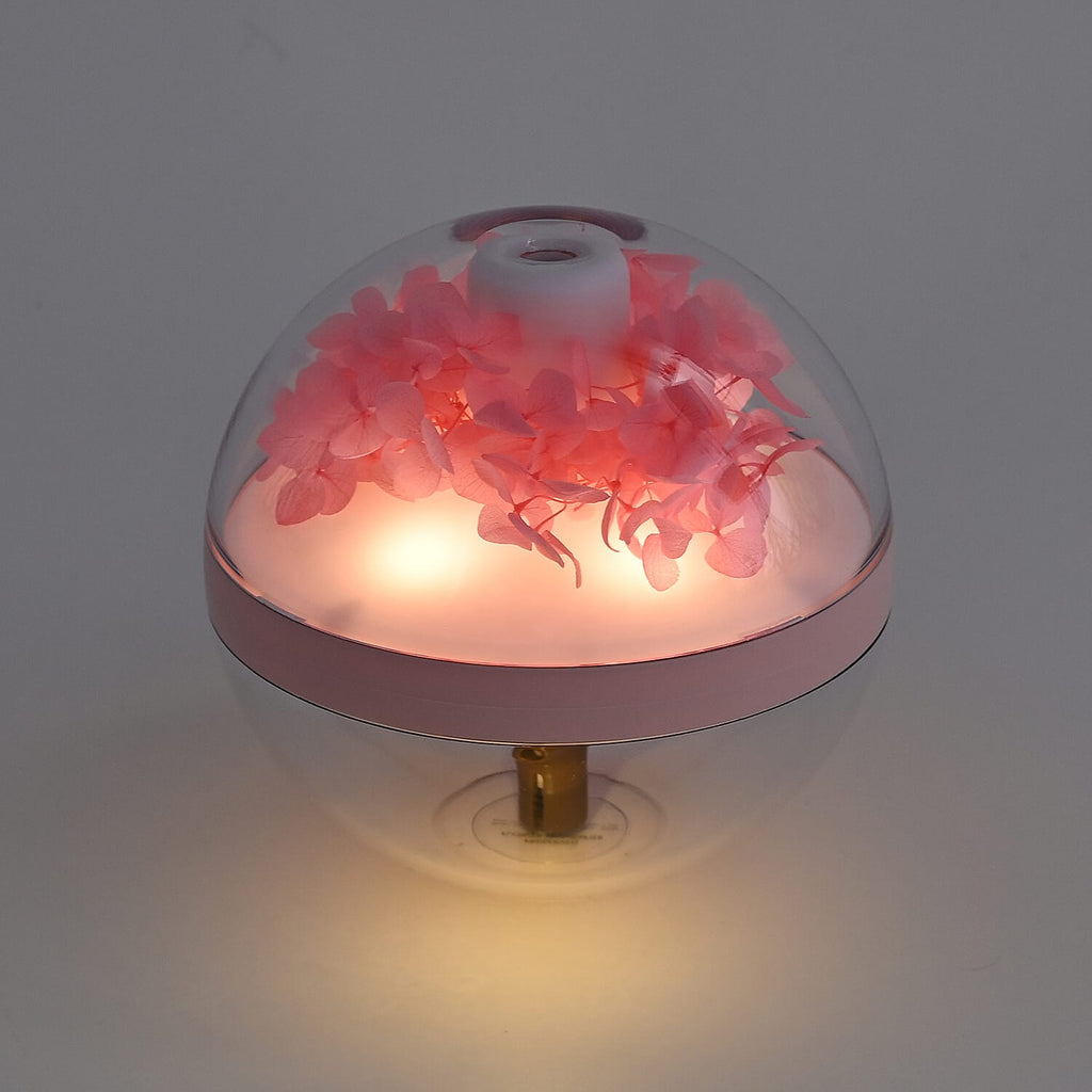 Preserved Flower Humidifier With 2 Mist Modes and Optional Warm Light Feature with 10 Essential Oils