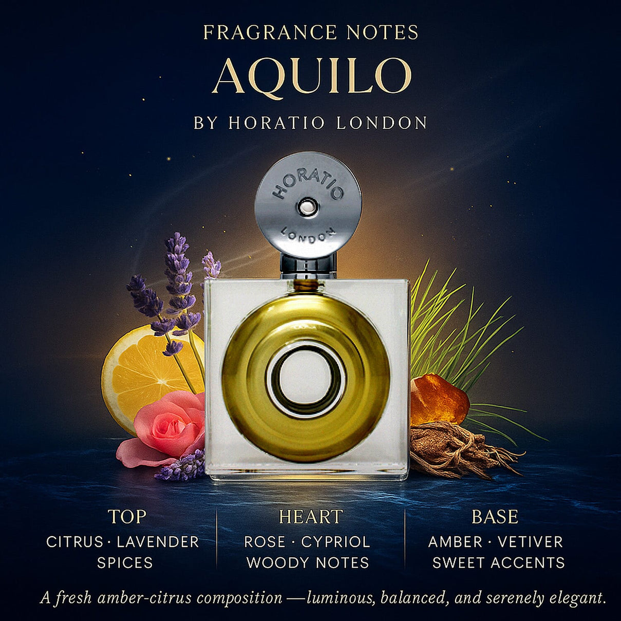 Horatio Aquilo EDP (75ml) 7952461 2