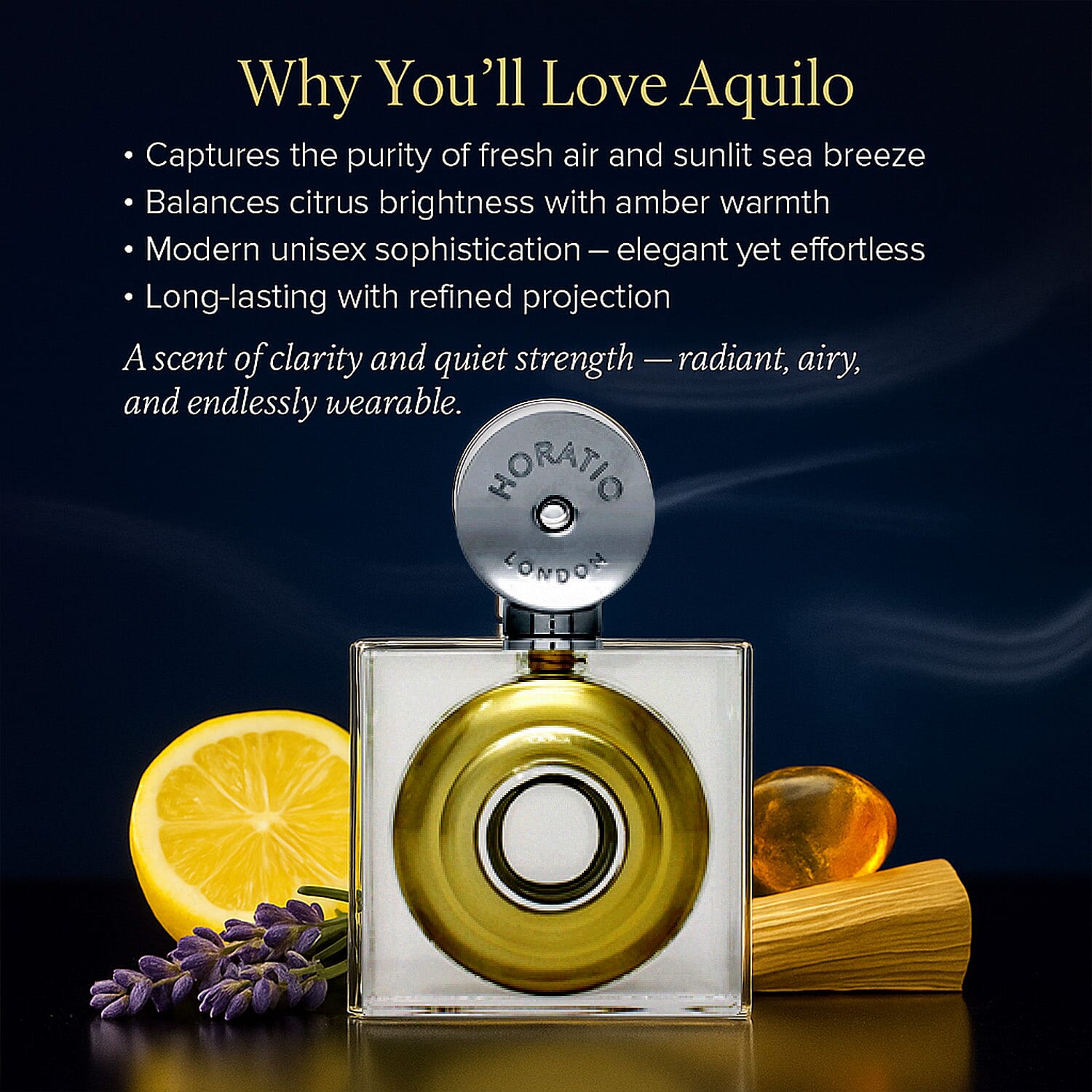 Horatio Aquilo EDP (75ml) 7952461 3
