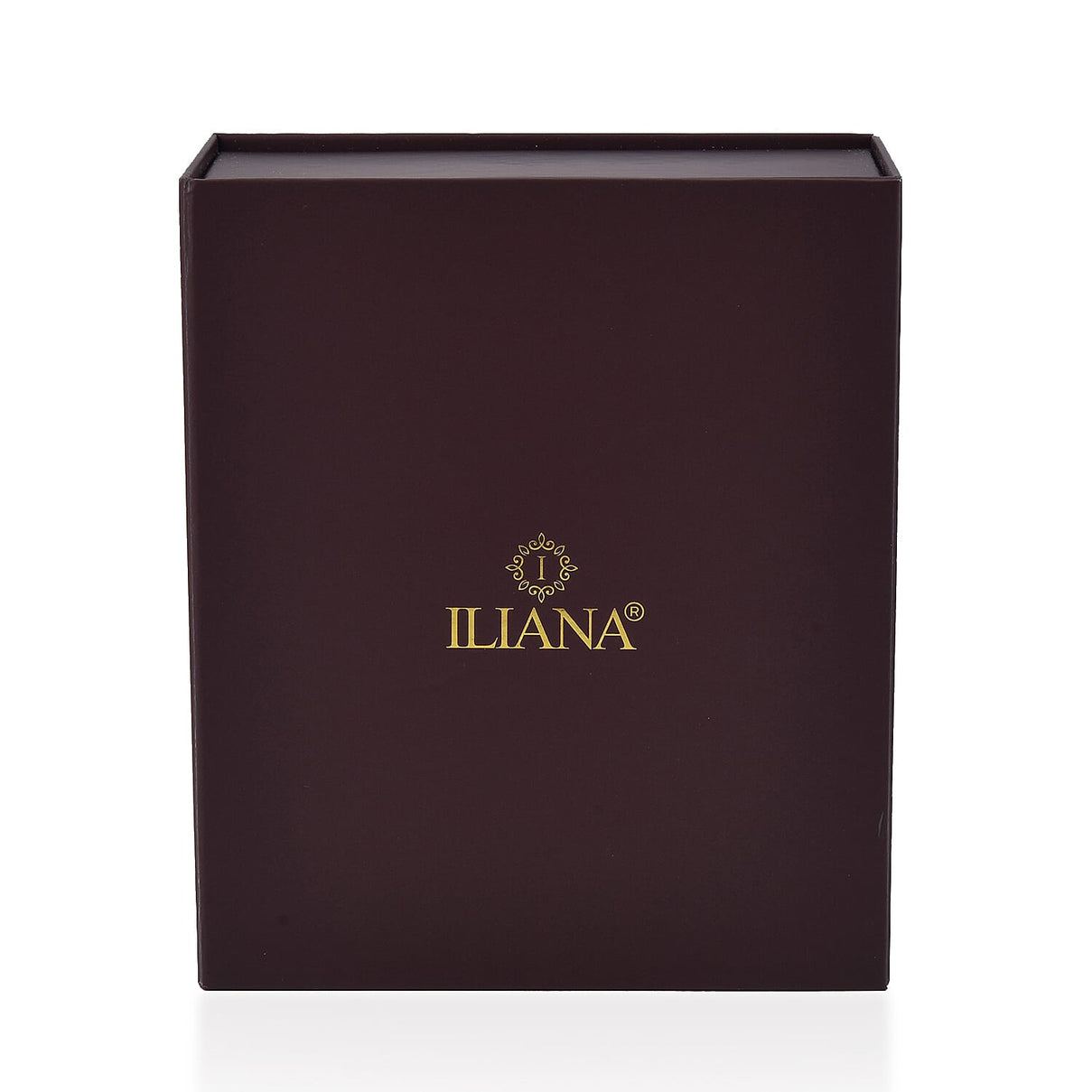 Iliana Pendant Necklace Book Box (Size 16.5x13.5x6 cm) - Red 7757759 2