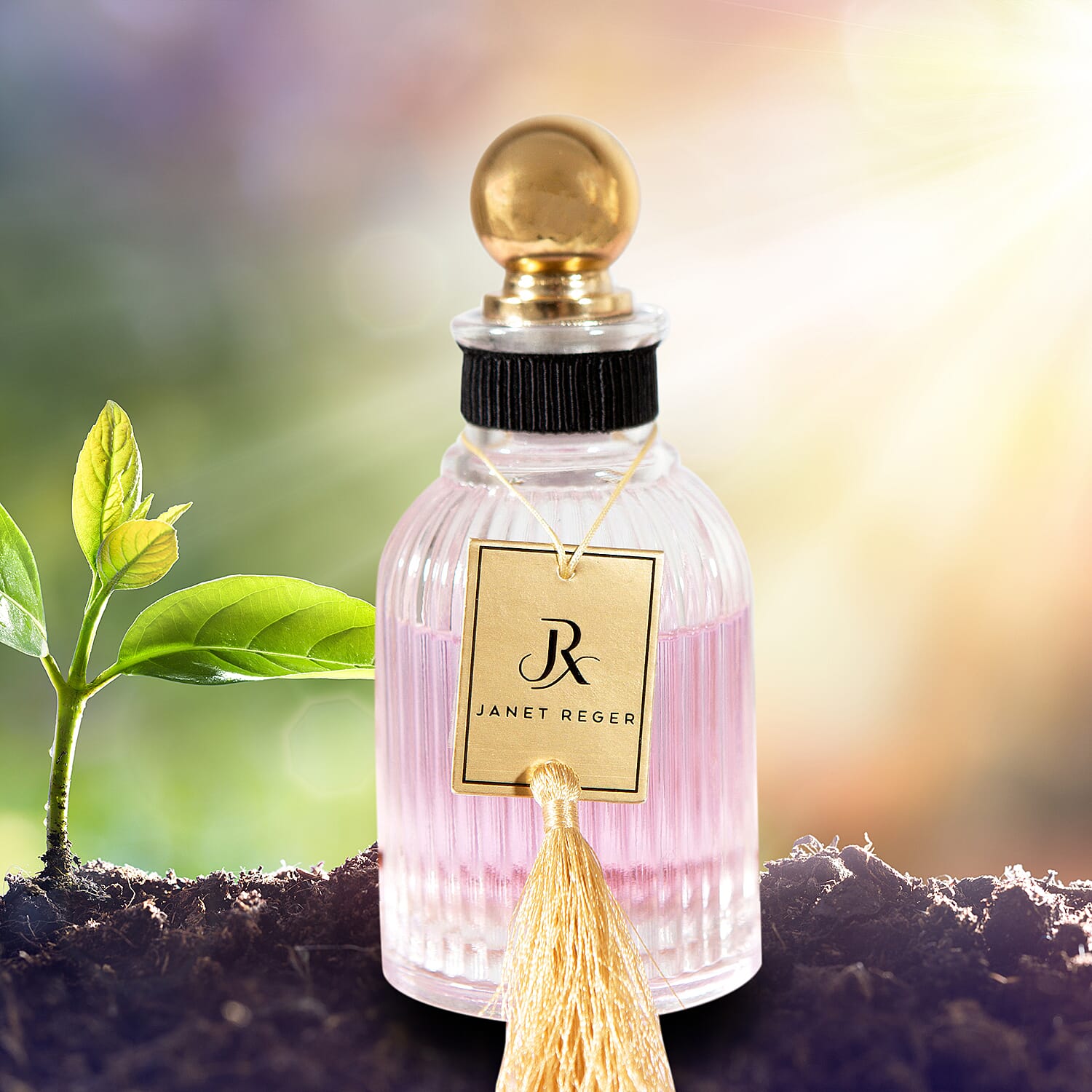 Laurelle Janet Reger Diffuser 100ml 8862467 3