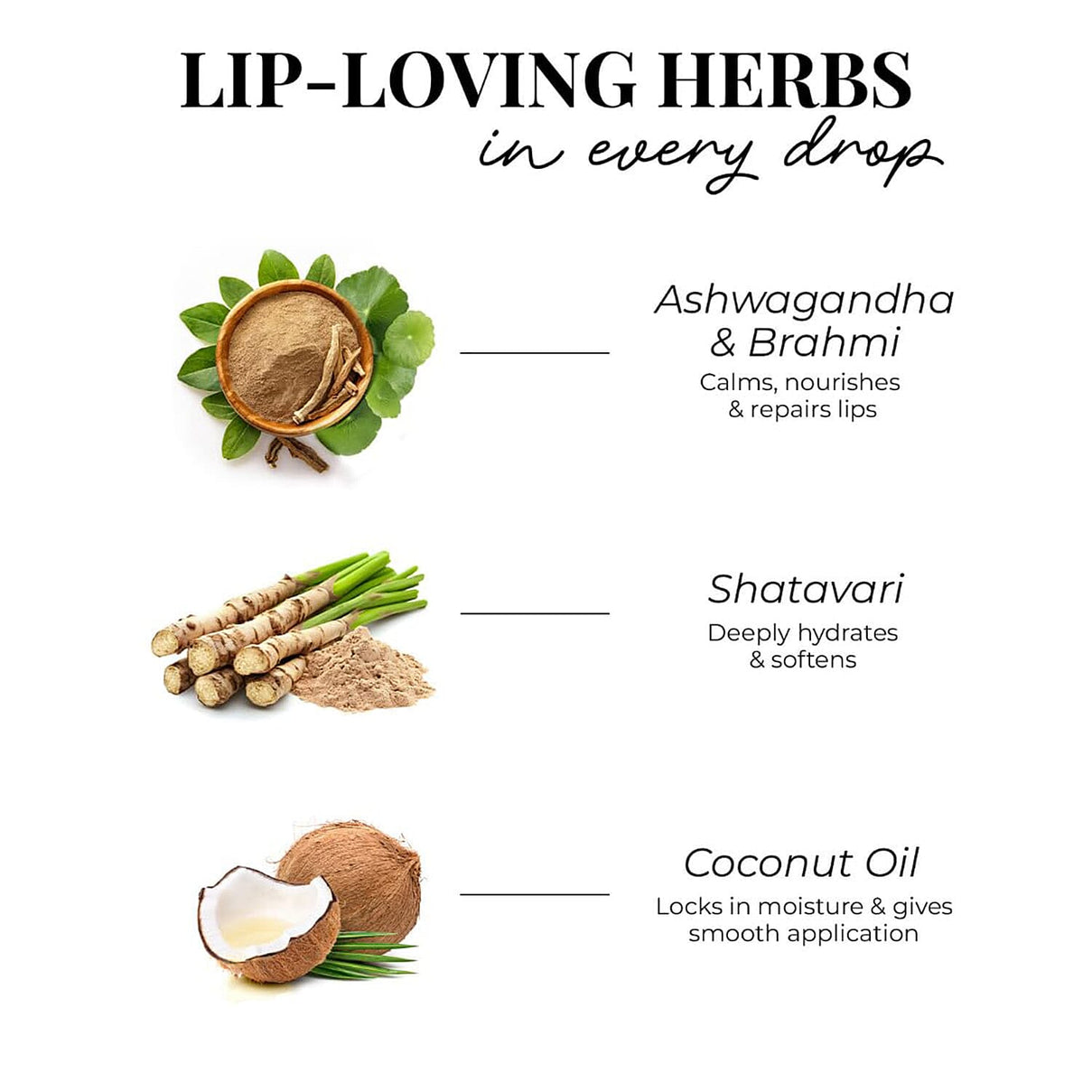 Just Herbs: Set of 5 - Ayurvedic Liquid Matte Finish Lipstick Make Up Kit - Brights and Pinks 8201607 3
