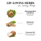 Just Herbs- Set of 5 - Ayurvedic Liquid Matte Finish Lipstick Kit  - Nudes & Brown