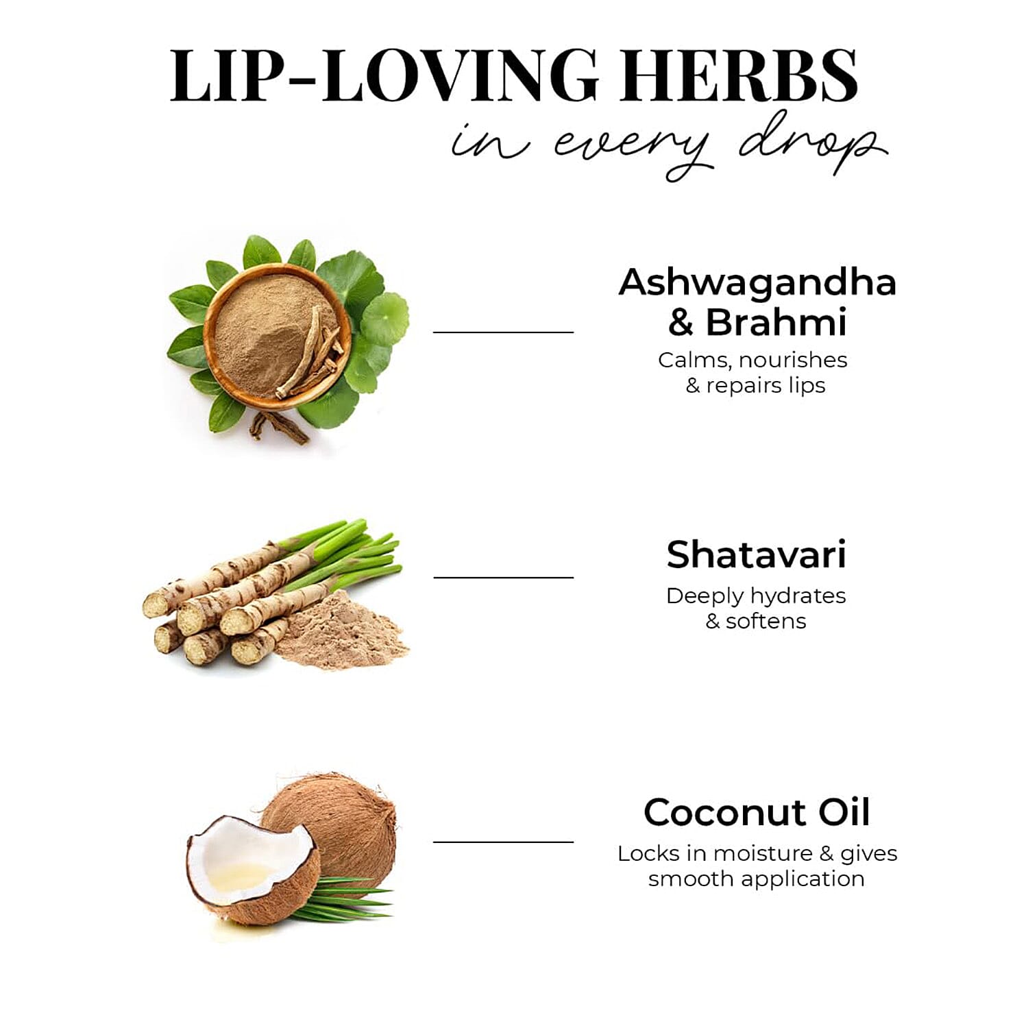 Just Herbs: Set of 5 - Ayurvedic Liquid Matte Finish Lipstick Make Up Kit - Nudes and Brown 8201620 2