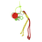 Set of 2 Crochet Fruit Charms Keychain - Orange & Red