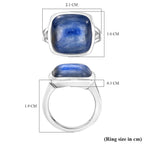 Kyanite Ring in Platinum Overlay Sterling Silver 10.404  Ct.